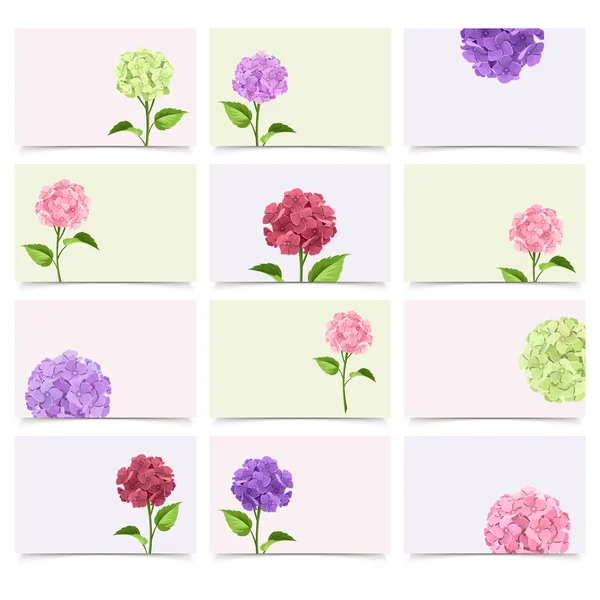 Set of greeting cards with hydrangea flowers. Vector eps-10.
