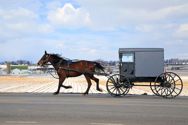 Amish Carriage in Winter