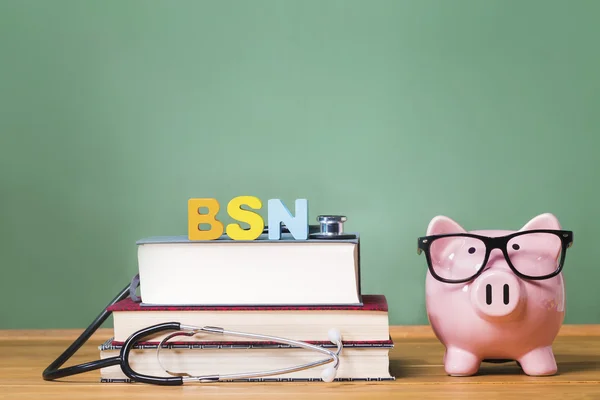 Bachelor of Science in Nursing BSN theme with piggy bank