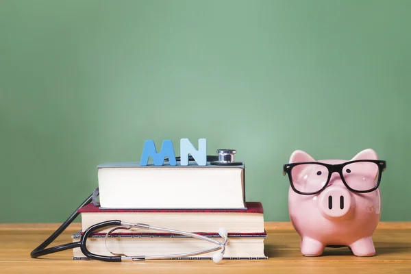 Master of Nursing MN theme with piggy bank
