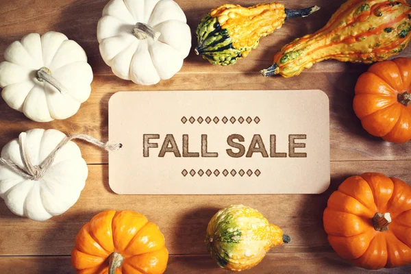 Fall Sale message with colorful pumpkins