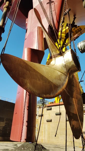 Vertical view of aonted ship propeller