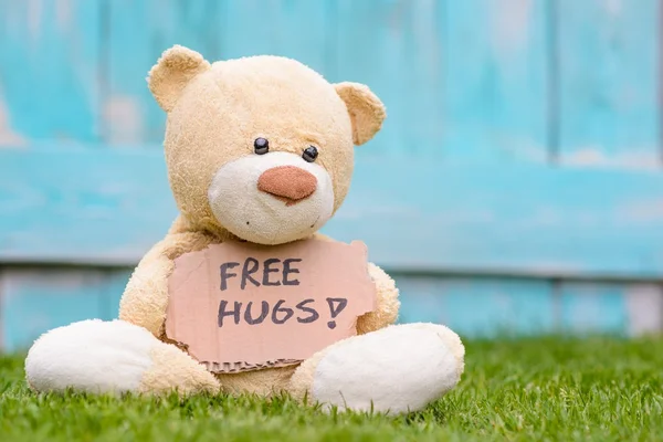 Teddy bear holding cardboard with information Free Hugs !