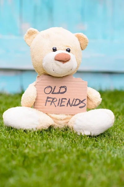 Teddy bear holding cardboard with information Old Friends
