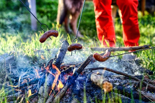 Roasting sausages on campfire
