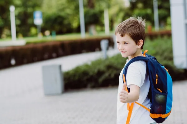 Happy little 7 years schoolboy going to school.