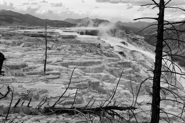 Mammoth Hot Springs in Yellowstone National Park, Wyoming