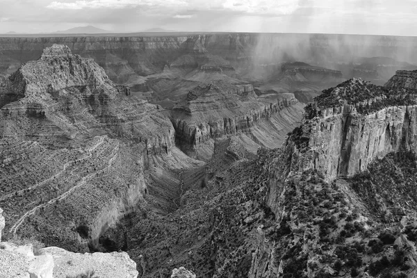 The beautiful grand canyon national park north rim arizona (black and white) USA