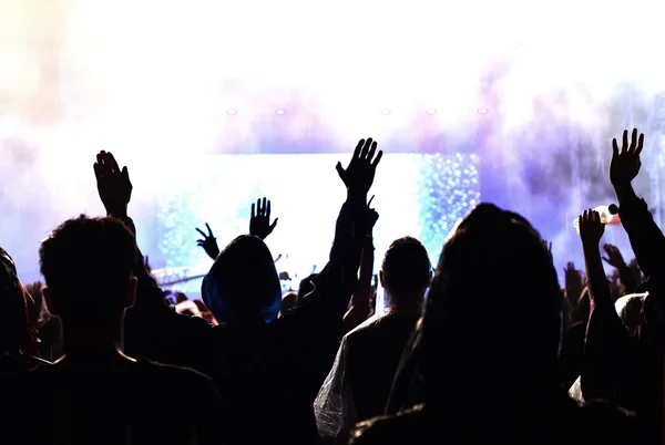 Crowd cheering and hands raised at a live music concert