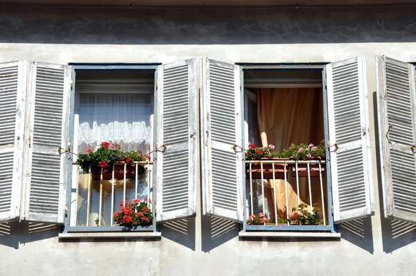 Beautiful window with flower box and shutters