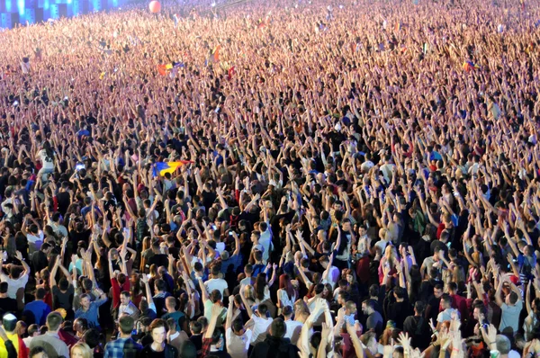 Crowd at concert