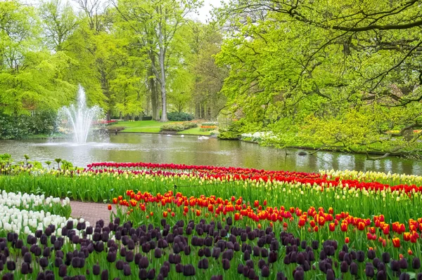 Beautiful spring flowers near pond in Keukenhof park in Netherlands (Holland)