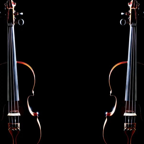 Violin isolated on black