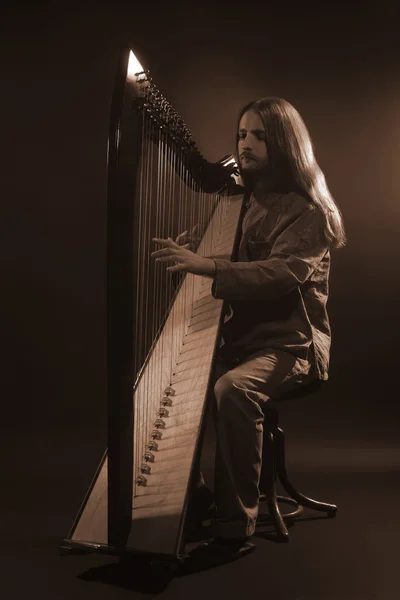 Irish harp player. Musician harpist