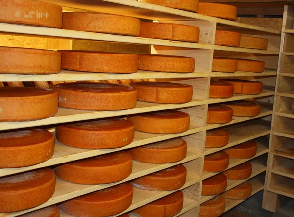 In cheese storage