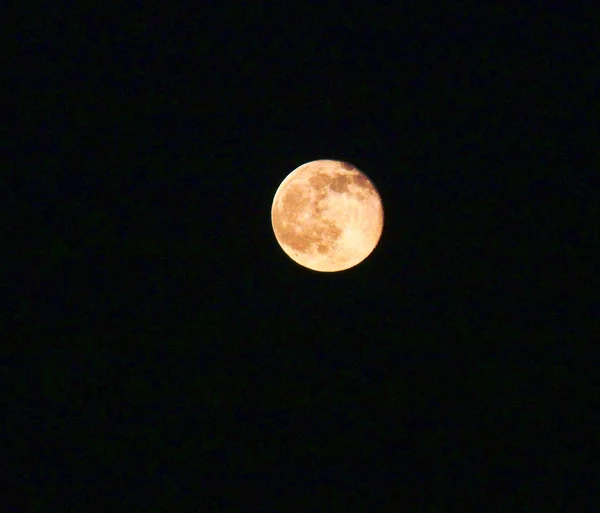 Full moon watching