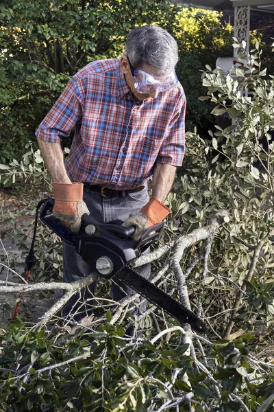 Closeup of Man Cutting Tree Branches with Chainsaw