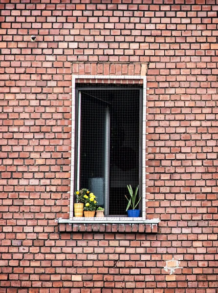 Window with potted flowers on the red brick wall