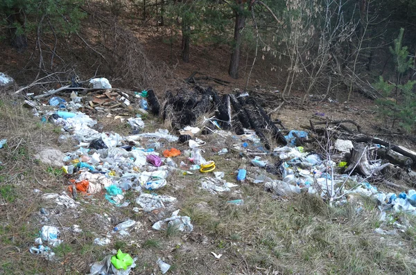 Environmental contamination.Illegal junk dump