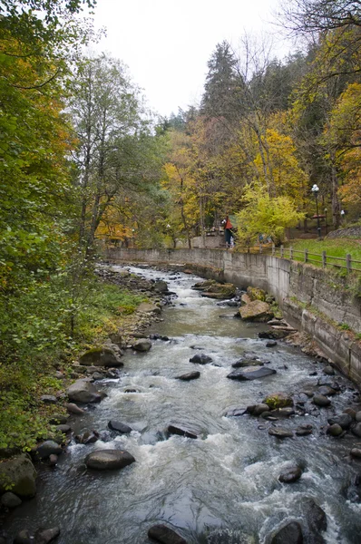 Riverside of the Park Borjomi Natural Water source in georgia