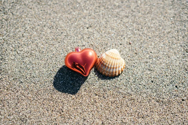 Close-up of red Christmas heart and seashell