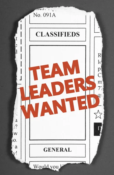 Team Leaders Wanted