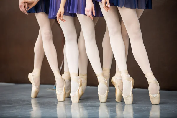 Five ballet dancers in dance class near the barre. Legs only. So
