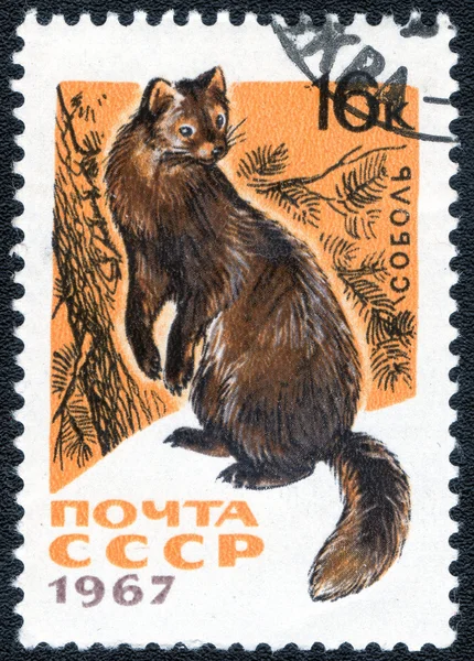 Sable USSR stamp