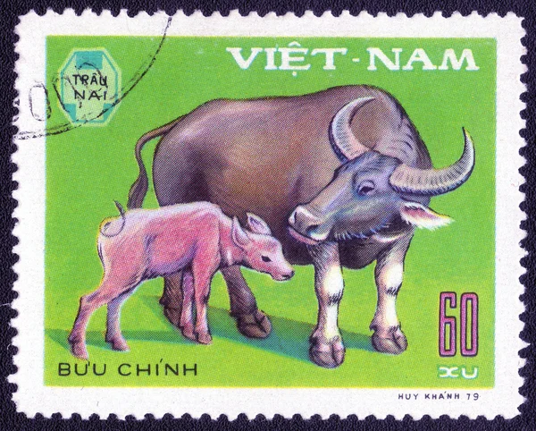 Water buffalo and calf stamp