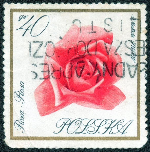 Stamp with  