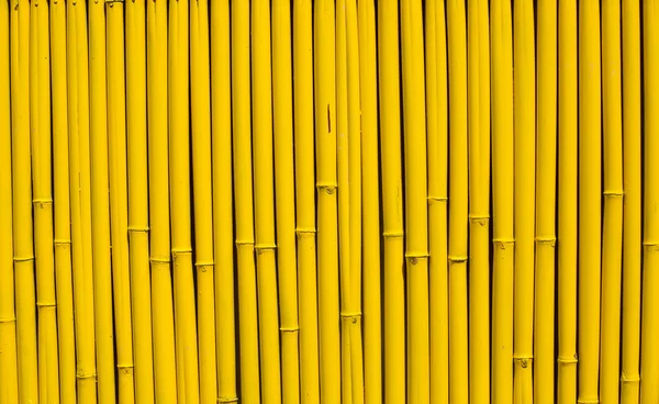Bamboo sticks arranged in a row