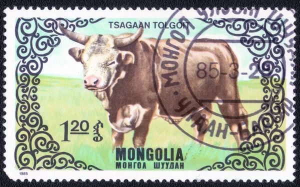 Stamp printed in Mongolia shows  cow
