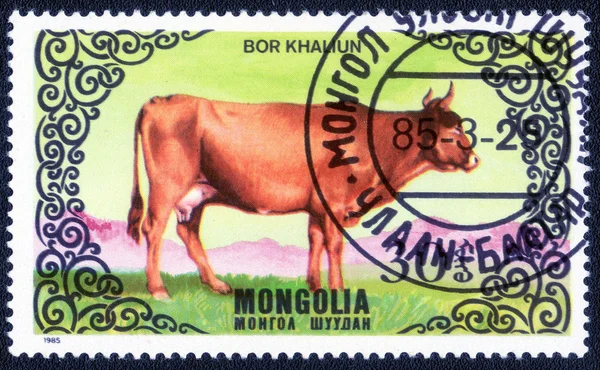 Stamp printed in Mongolia shows  cow