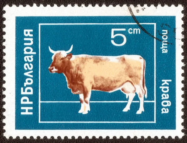 Stamp printed in Bulgaria ,domestic animal