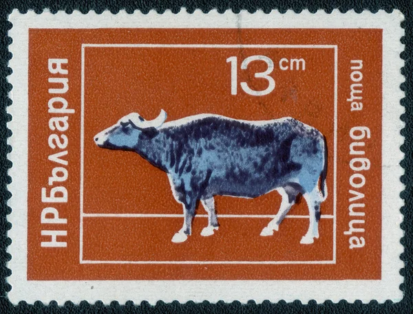 Stamp printed in Bulgaria ,domestic animal