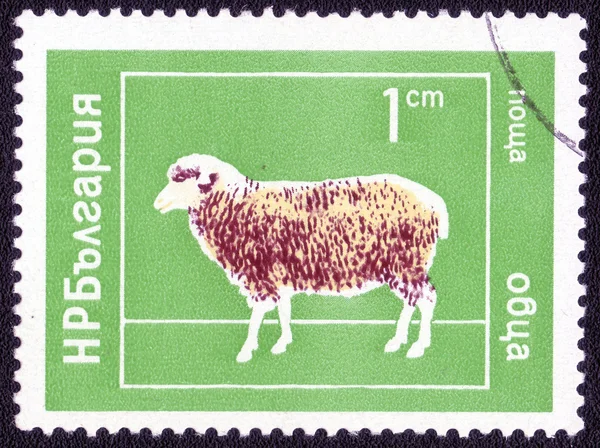 Stamp printed in Bulgaria ,domestic animal