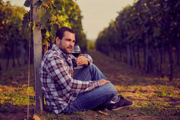 Man sitting in vineyard