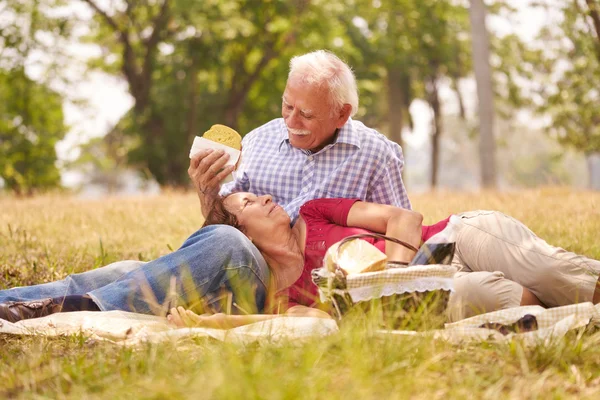 Old Couple Senior Man And Woman Doing Picnic