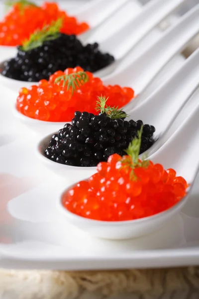 Red and black caviar in spoon close-up. Vertical