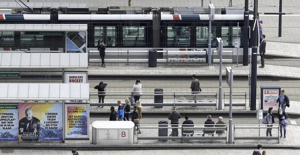 Trams at central station rotterdam