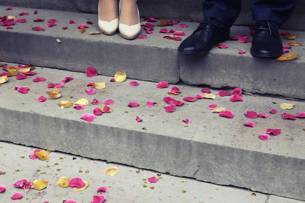 Wedding. Rose petals on the stairs at the newlyweds feet
