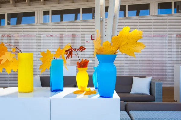 Multi-colored vases of different shapes with the maple leaves inside