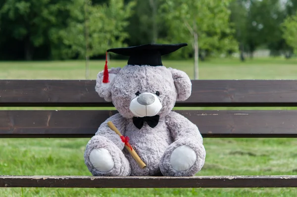 Teddy bear graduate bachelor\'s degree.