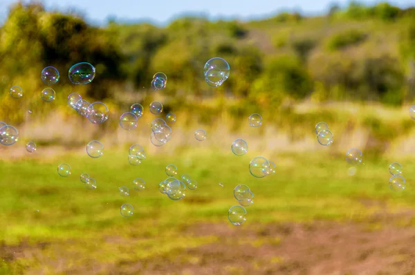 The rainbow bubbles