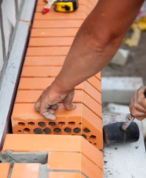 Builder lays bricks in cement mortar