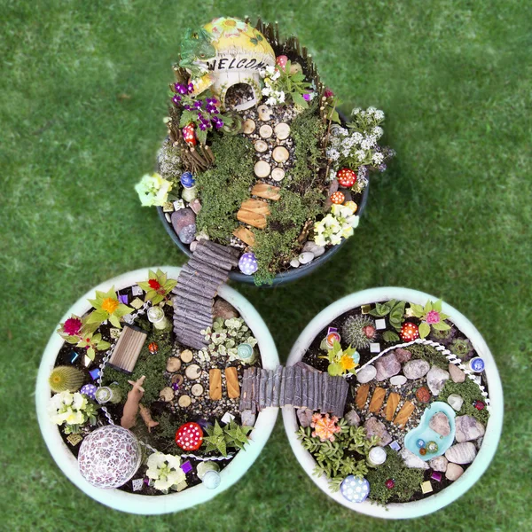 Birds eye view of fairy garden in a flower pot