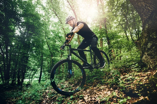 Professional mountain bike cyclist riding trail in forest, details of sports