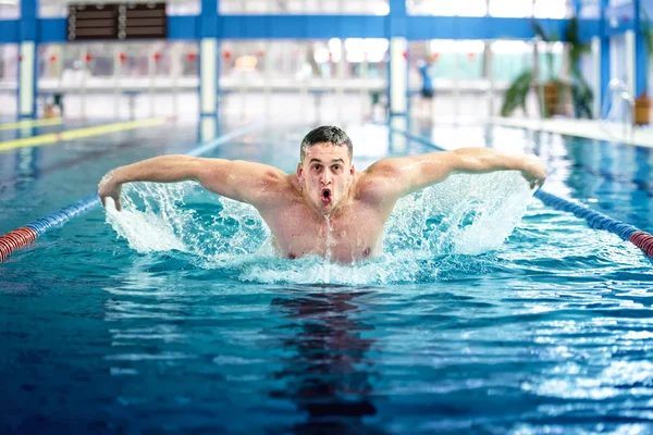 Professional male swimmer, performing the butterfly stroke technique at indoor pool