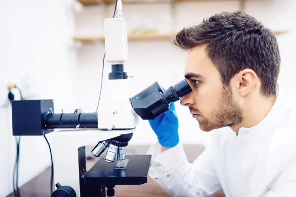 Medical scientist with microscope, examining samples and liquid in special laborator