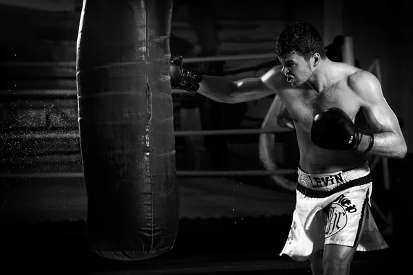 Thai boxing Artem Levin in studio